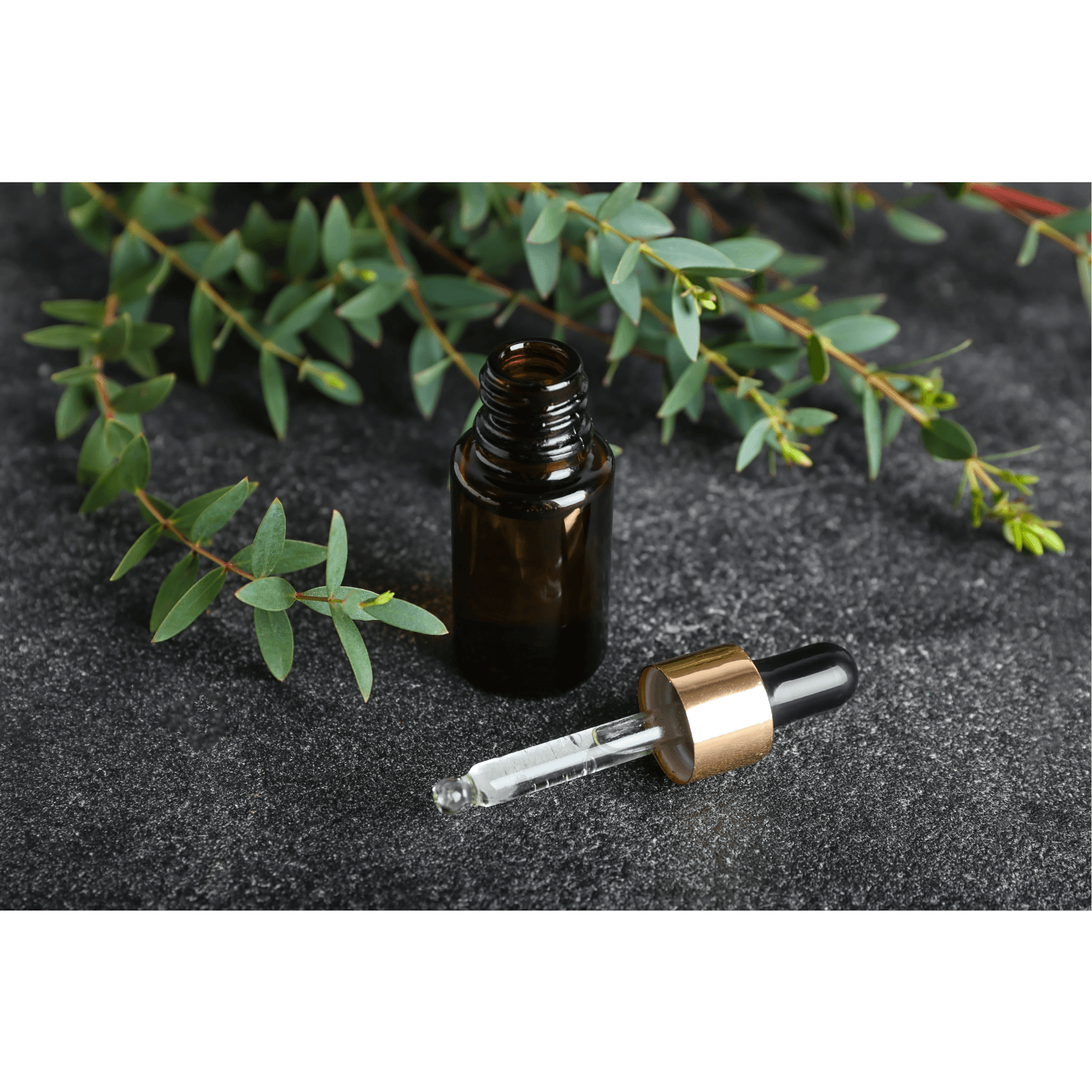 analg&eacute;sique articulations cheval