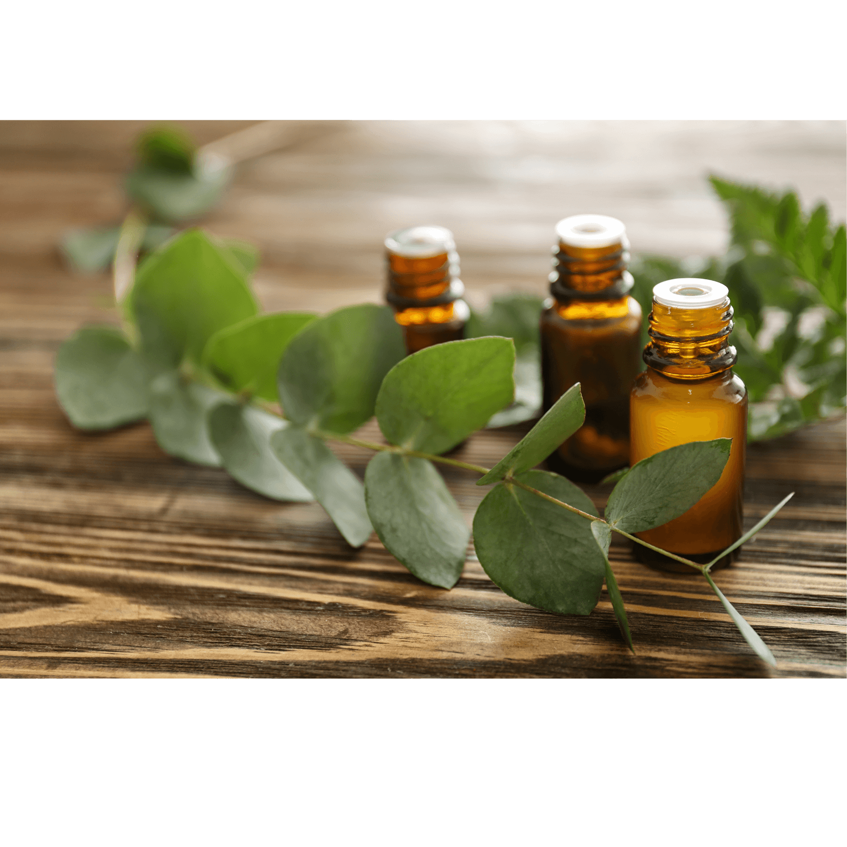antiseptique pr&eacute;vention infections sabot cheval eucalyptus