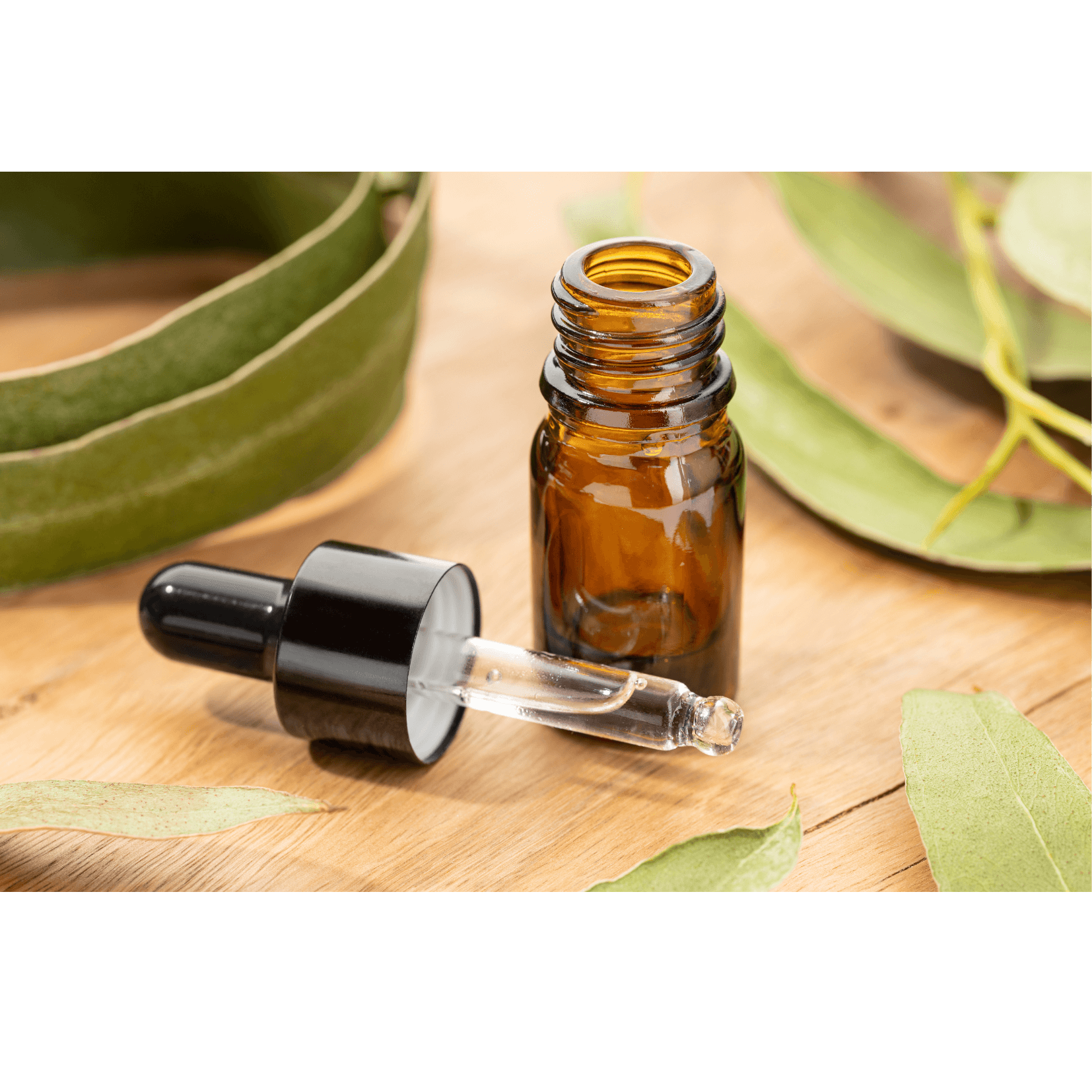 analg&eacute;sique anti inflammatoires soulagement douleurs cheval eucalyptus