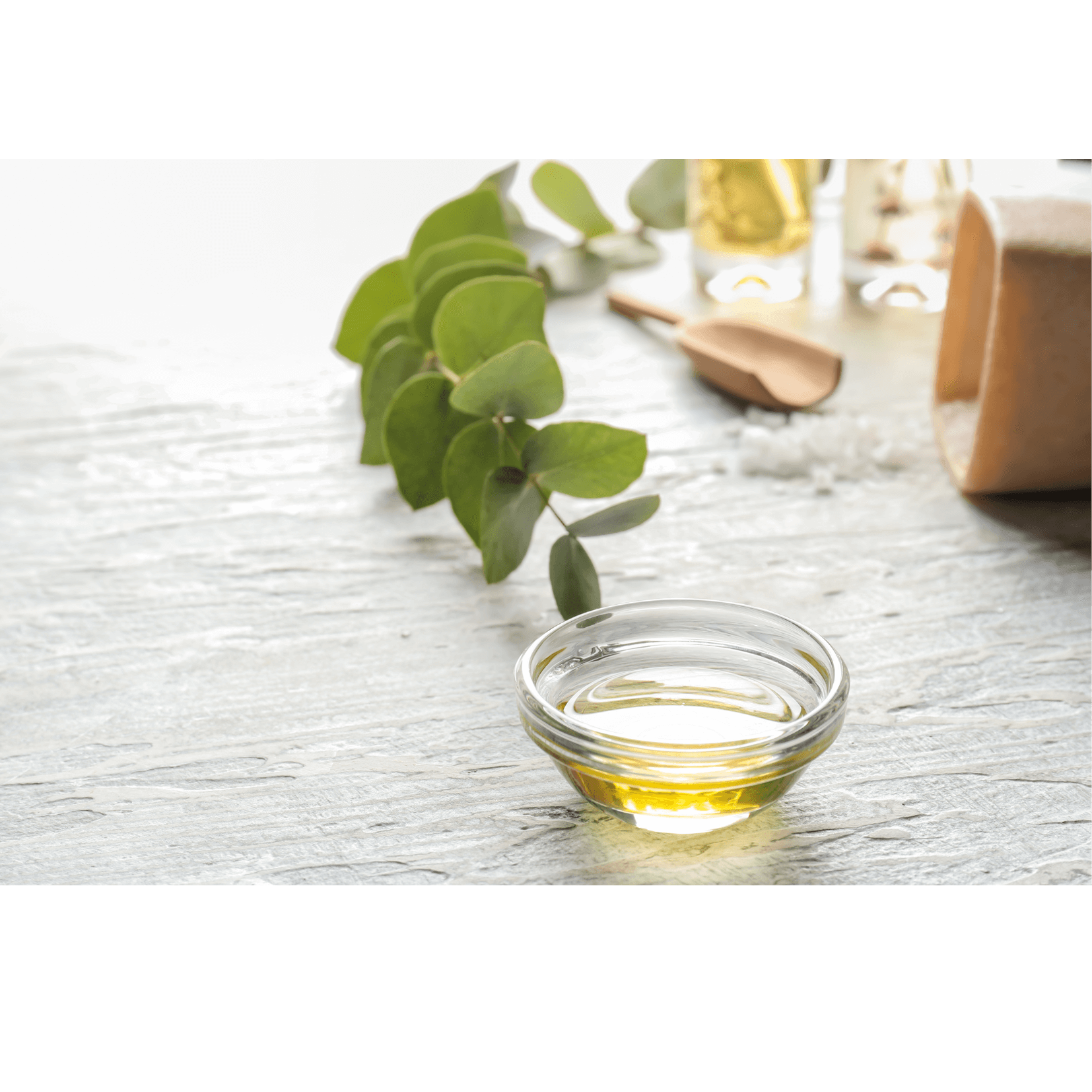 rafra&icirc;chissant revigorant muscles cheval eucalyptus