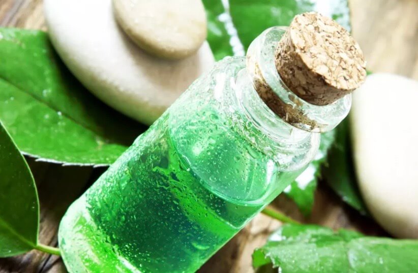 Die Vorteile von &auml;therischem Teebaum&ouml;l f&uuml;r die Haut Pferd