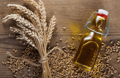 germe de bl&eacute; cheval