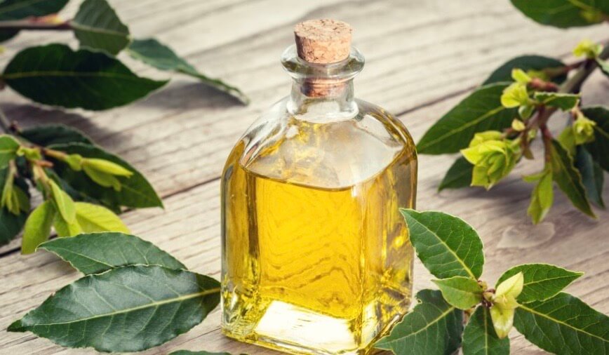 bienfaits de l&rsquo;huile de laurier noble pour la peau du cheval