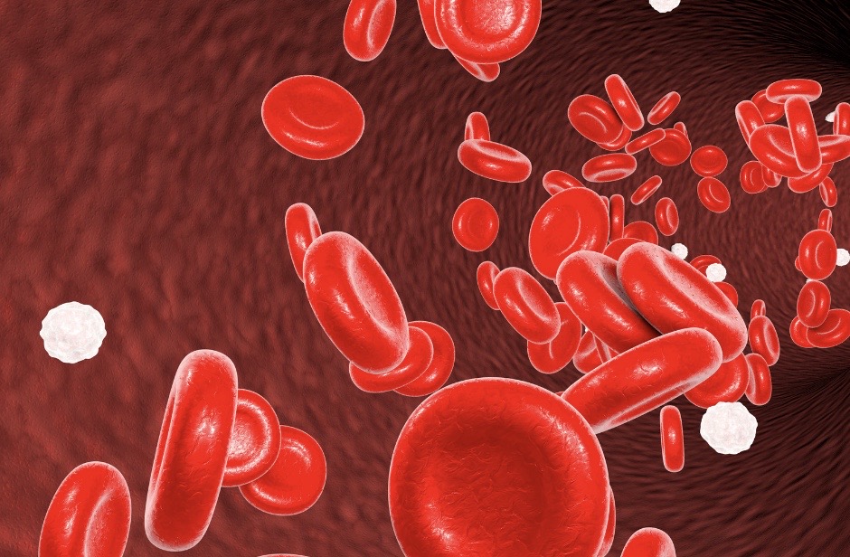 Lavendel&ouml;l Pferd Durchblutung