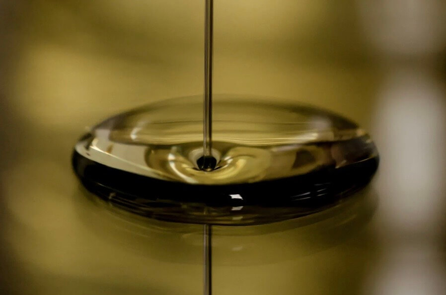 huile de coco bienfaits peau cheval