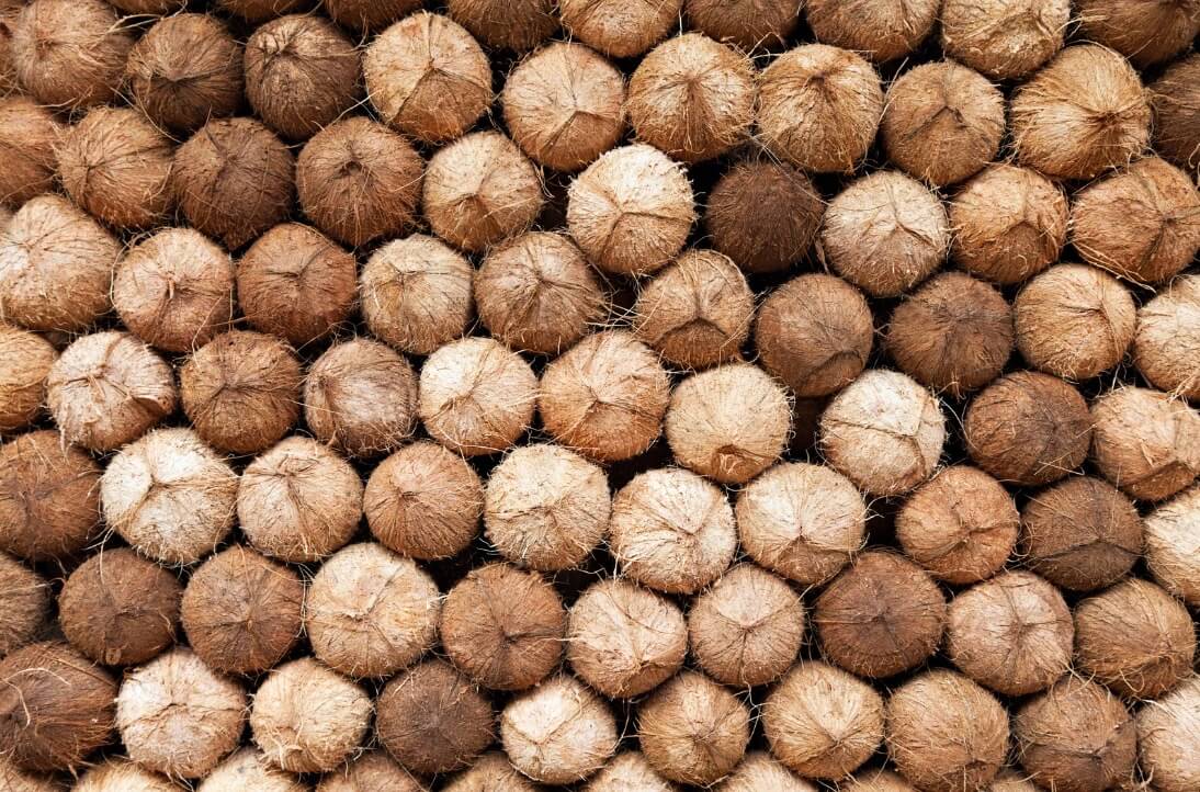 huile de coco bienfaits peau cheval