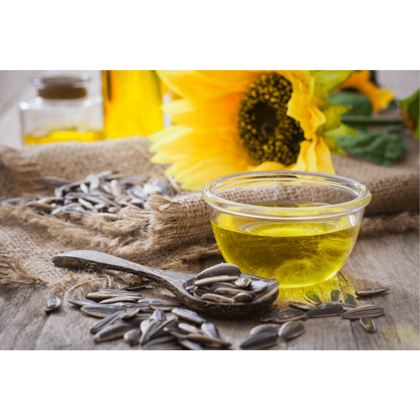 cheval huile de tournesol d&eacute;tente relaxation muscles crampes