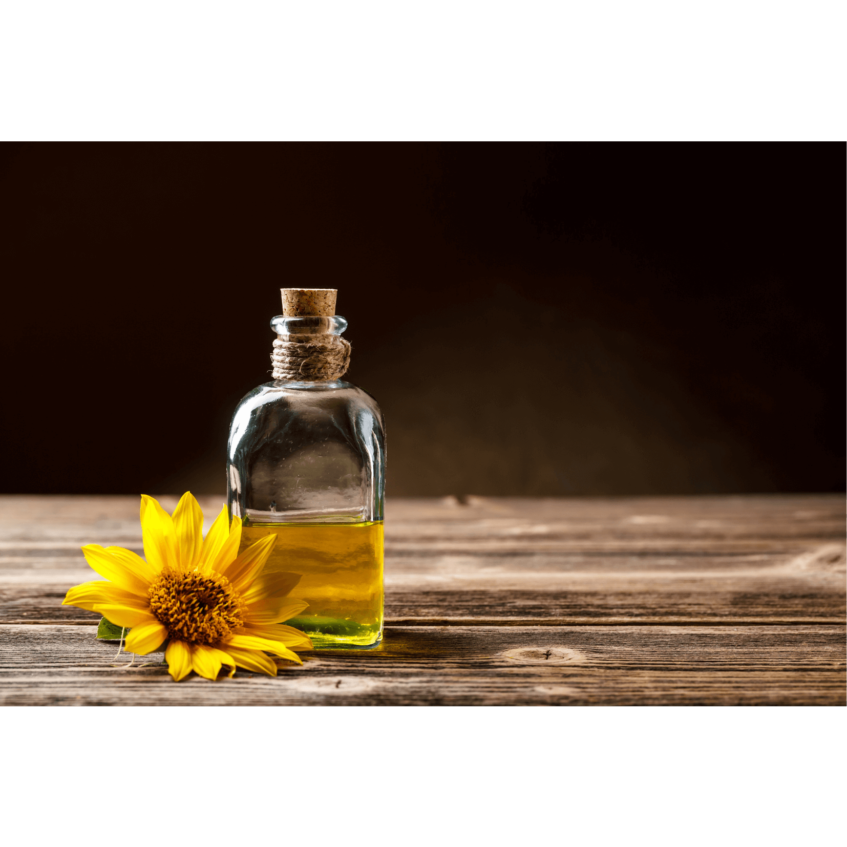 hydratation acides gras linol&eacute;ique om&eacute;ga 6 pores peau cheval huile de tournesol