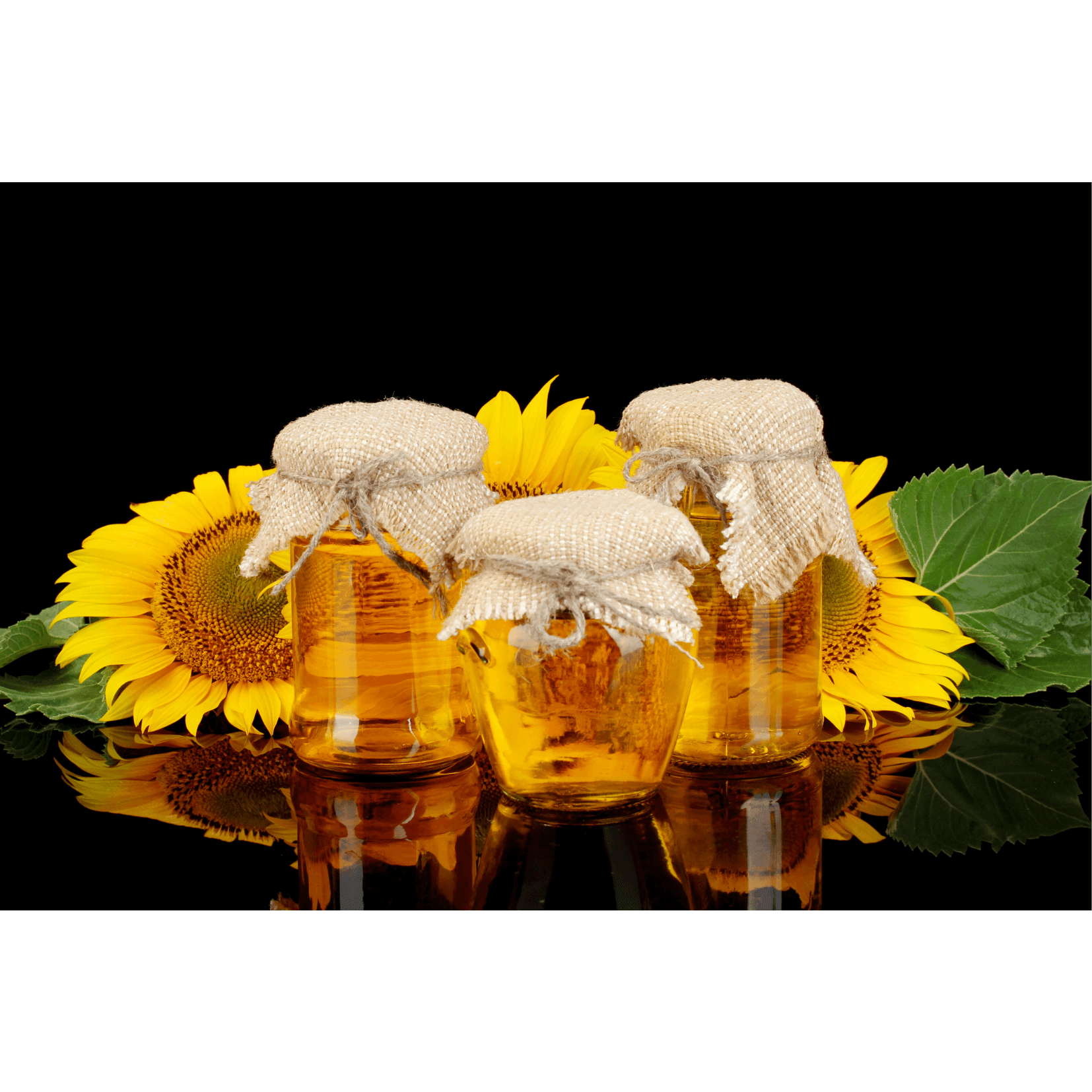 propri&eacute;t&eacute;s antimicrobiennes peau infections bact&eacute;riennes fongiques infections cutan&eacute;es cheval huile de tournesol