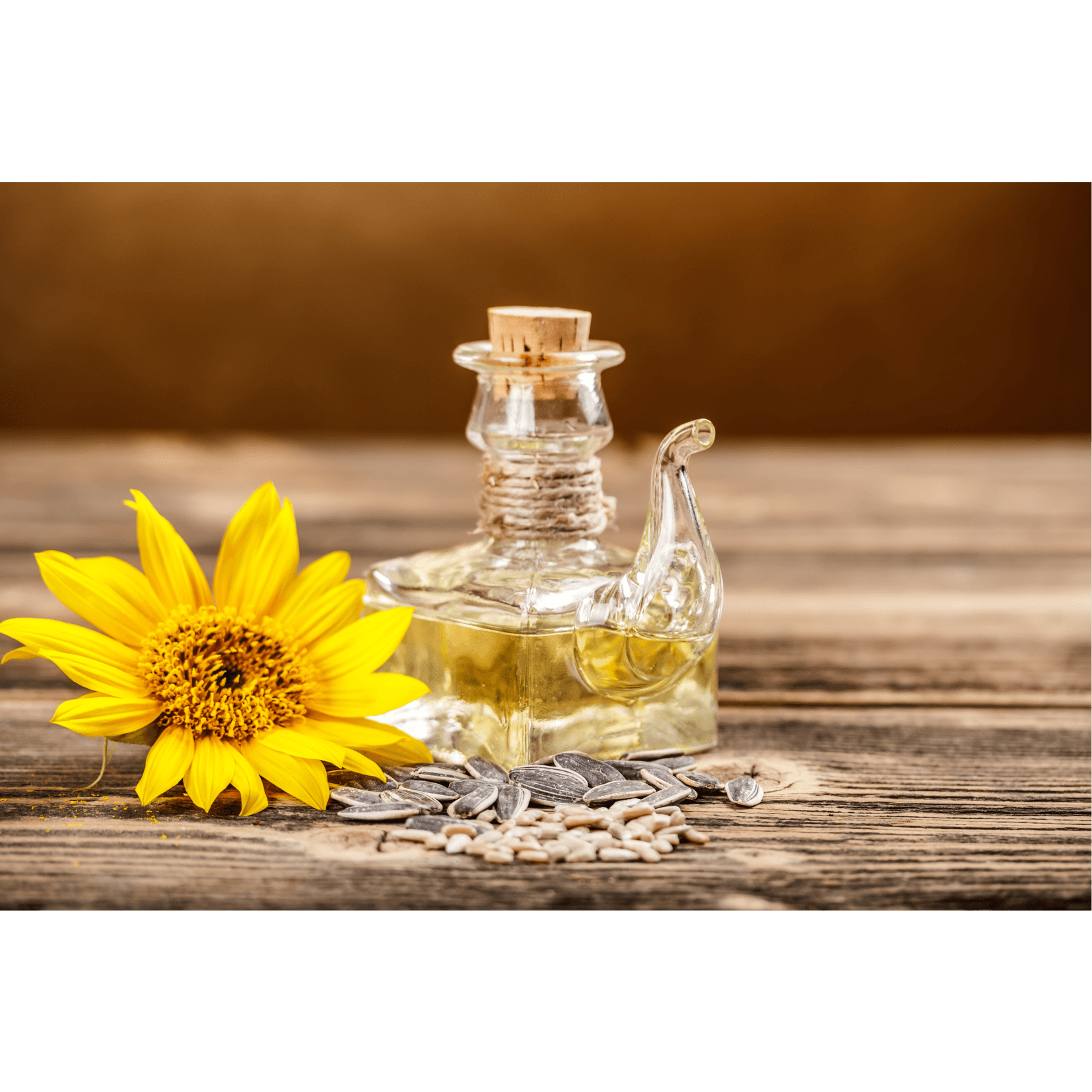 cheval huile de tournesol vitamine A D E peau r&eacute;g&eacute;n&eacute;ration cellulaire souple douce bonne sant&eacute; r&eacute;paration tissus endommag&eacute;s