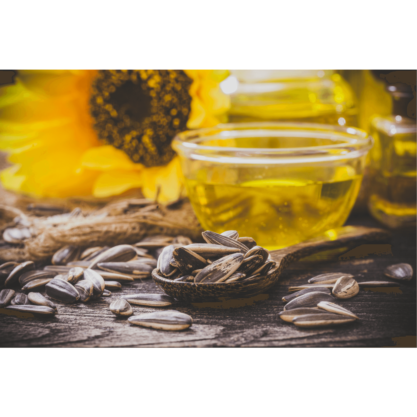 cheval huile de tournesol anti-inflammatoire vitamine E antioxydant irritations cutan&eacute;es