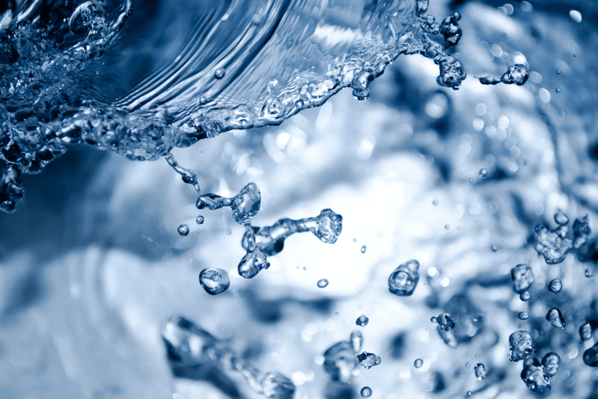 Wasser Pferd