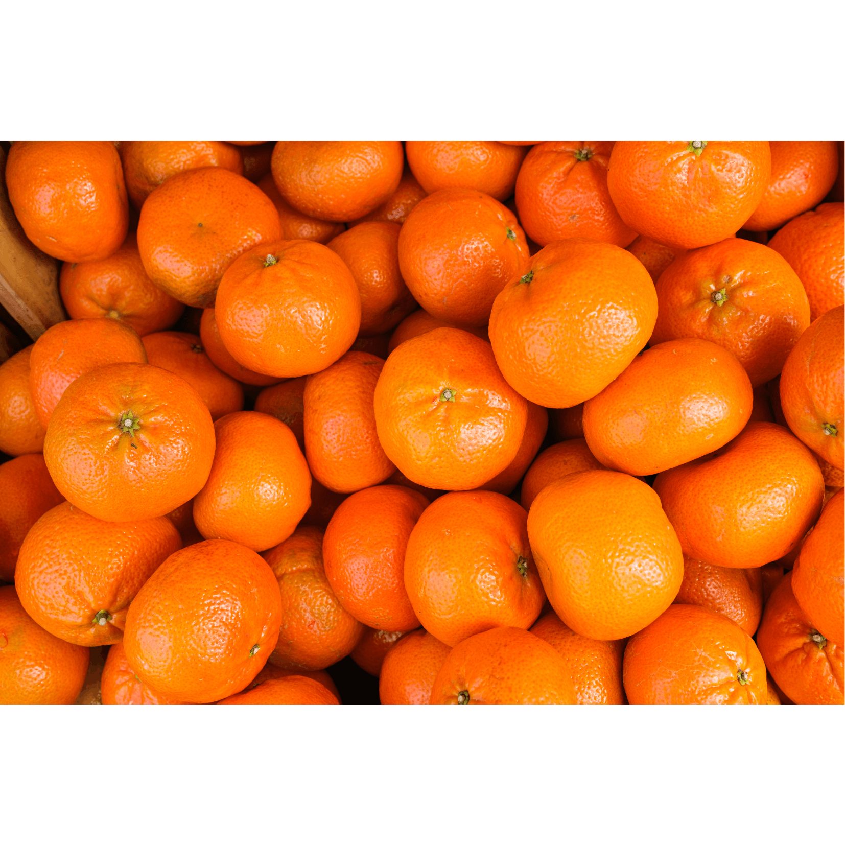 Mandarine angenehmer Duft Pferde