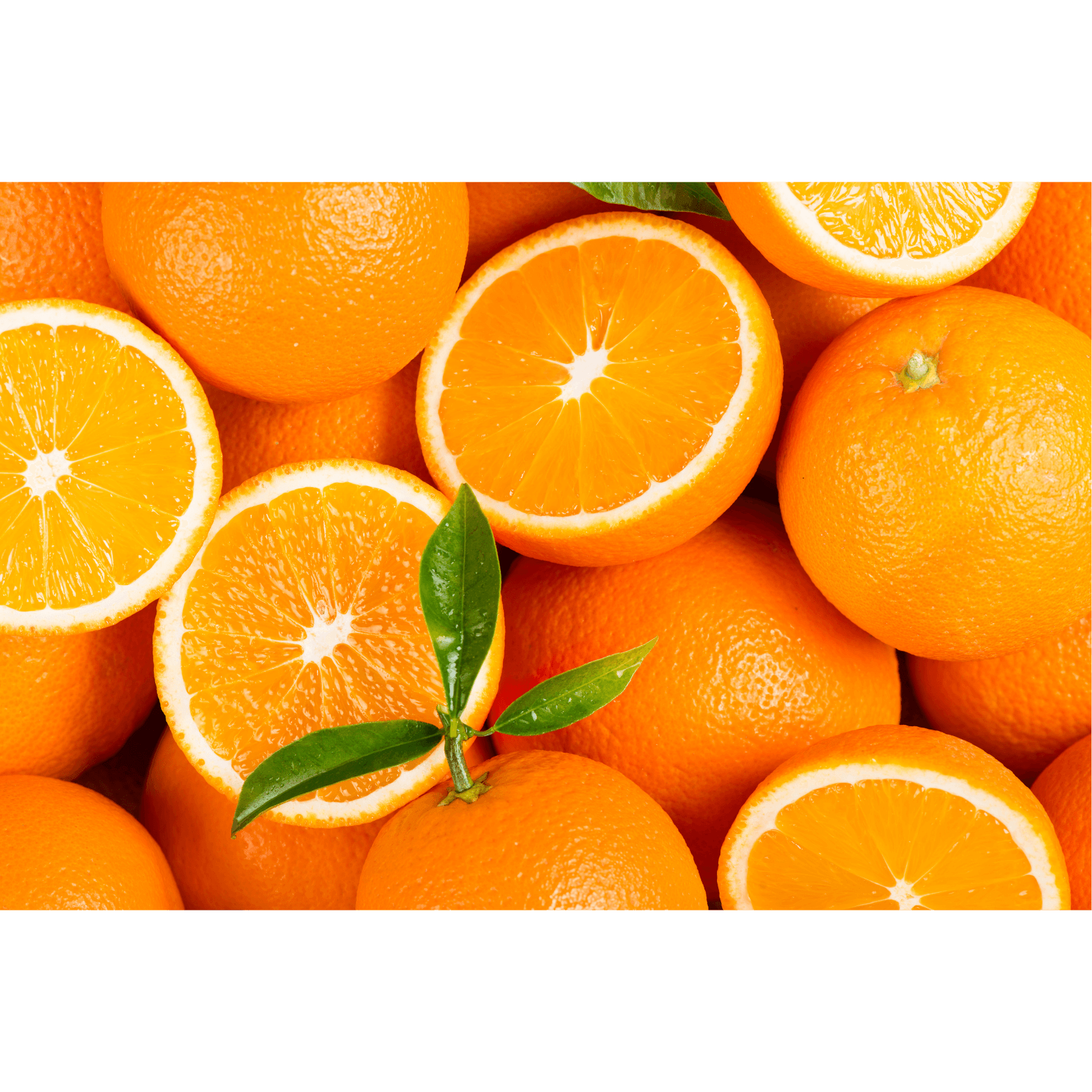 orange antioxydants naturels sant&eacute; cheval