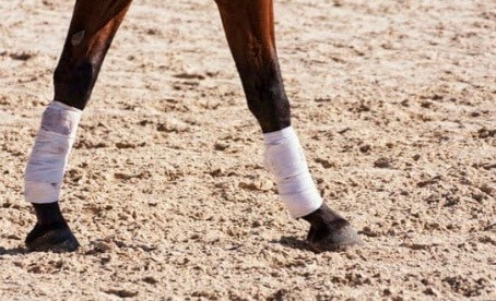 bienfaits du sulfate de cuivre pour le sabot cheval