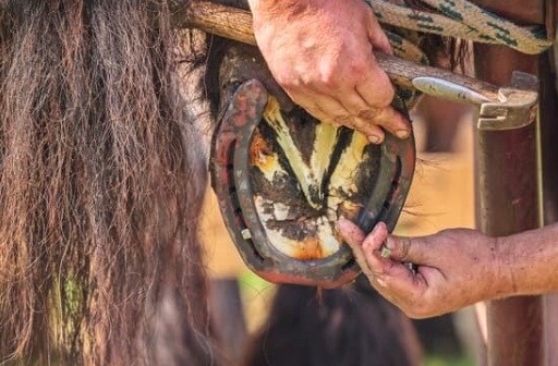bienfaits du sulfate de cuivre pour le sabot cheval