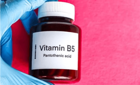 Vitamine B5 cicatrisation cheval