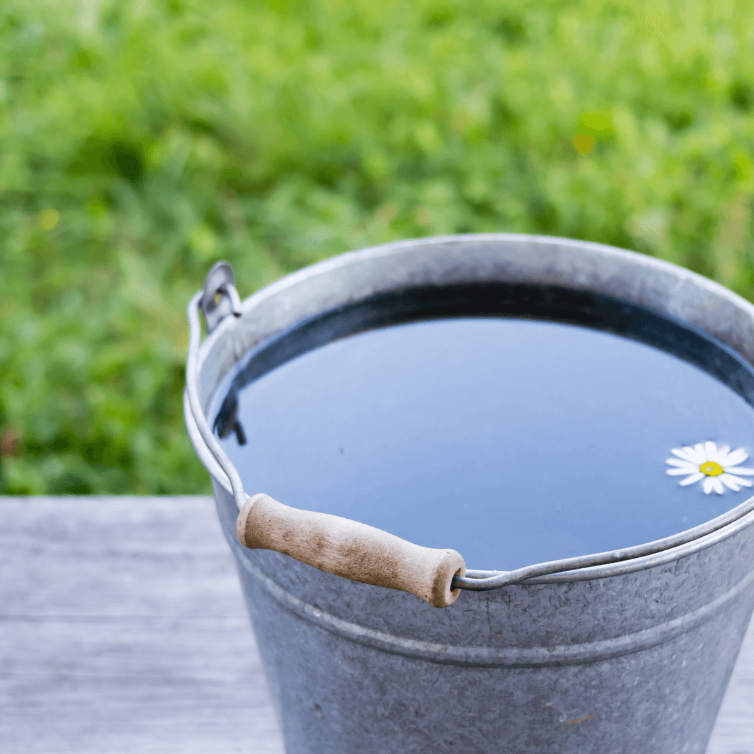 traitement fourbure cheval