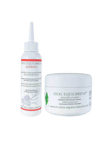 fourbure cheval photo