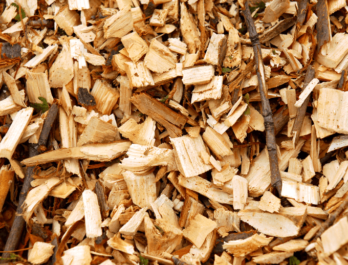 copeaux de bois cheval