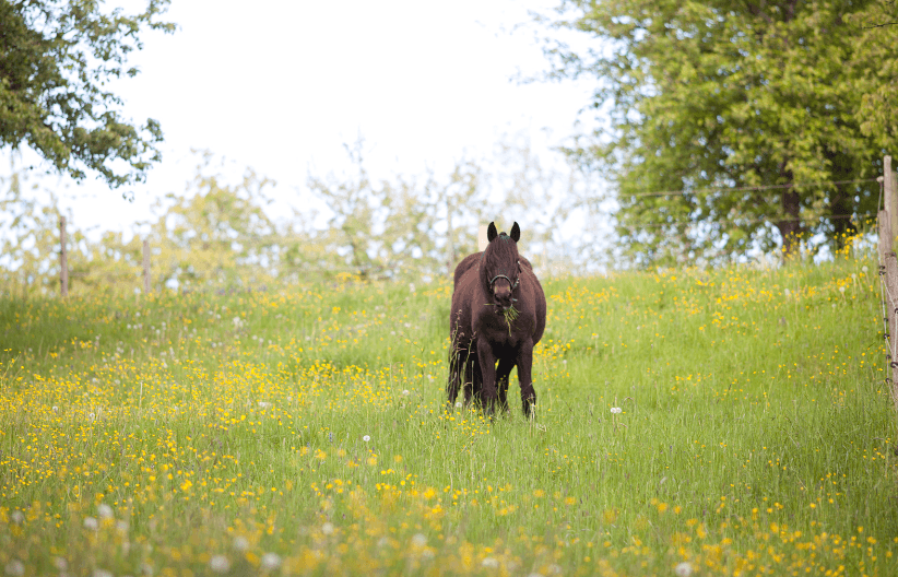 &eacute;vitez les l&eacute;sions 