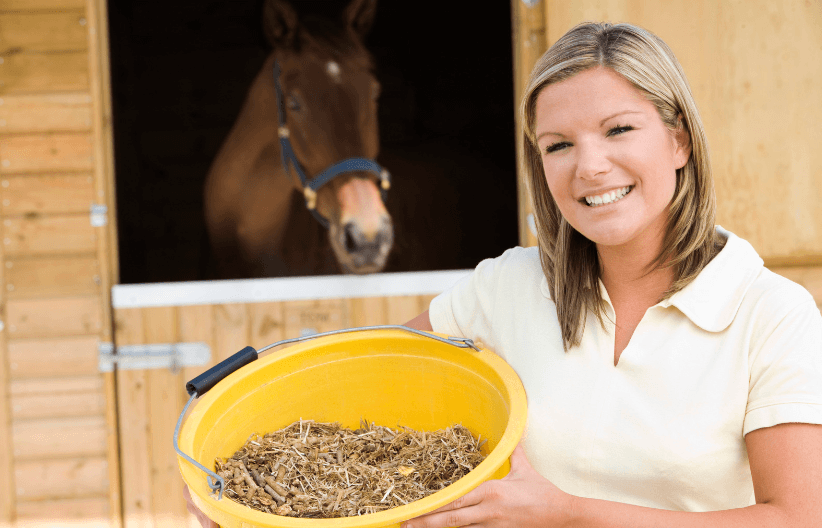 antifongiques fourmilli&egrave;re cheval 