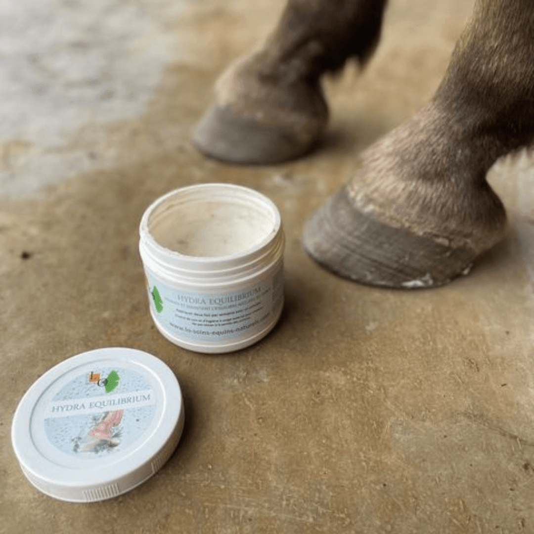 coup de froid cheval