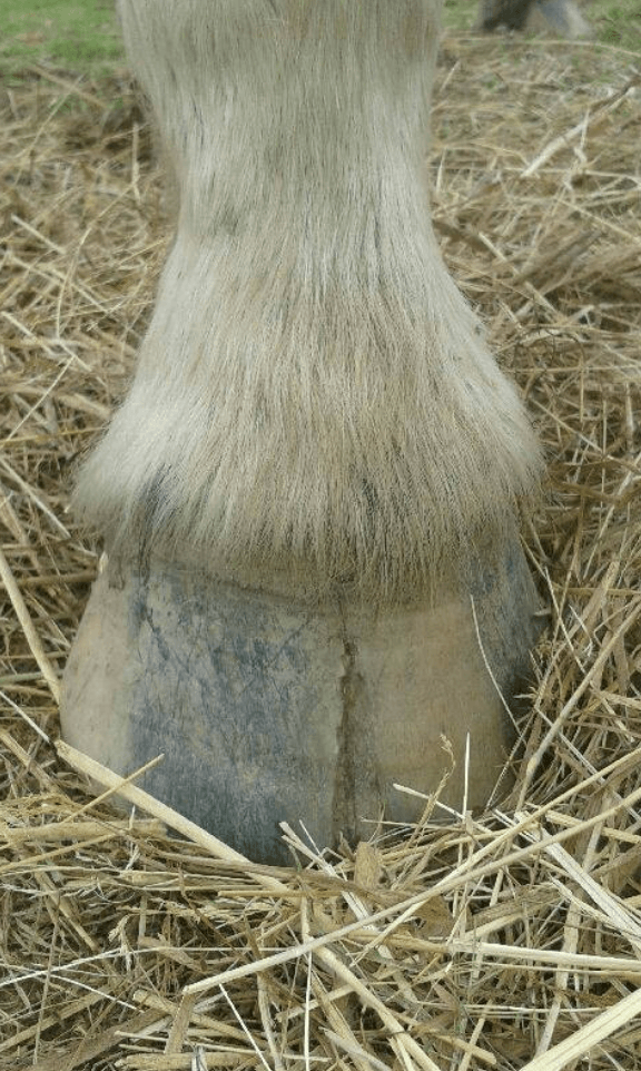 enflure et gonflement