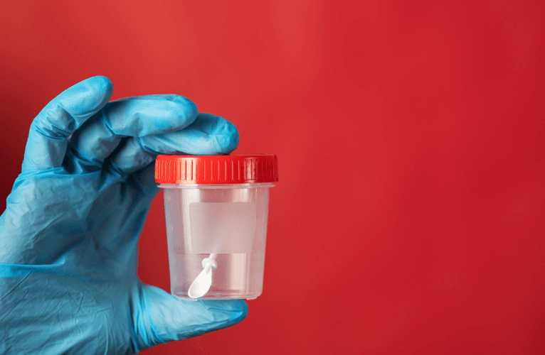 gu&eacute;rir colique cheval