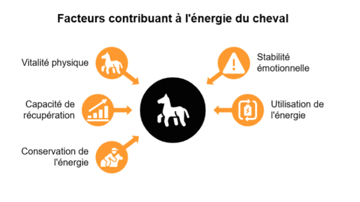 facteur energie cheval