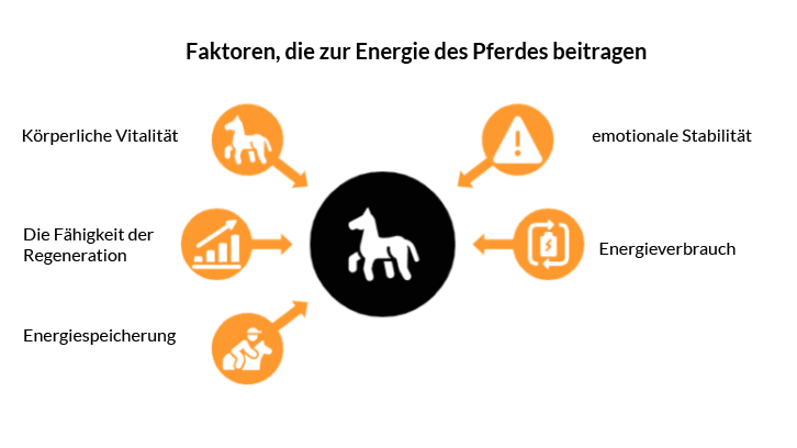 Faktor Energie Pferd