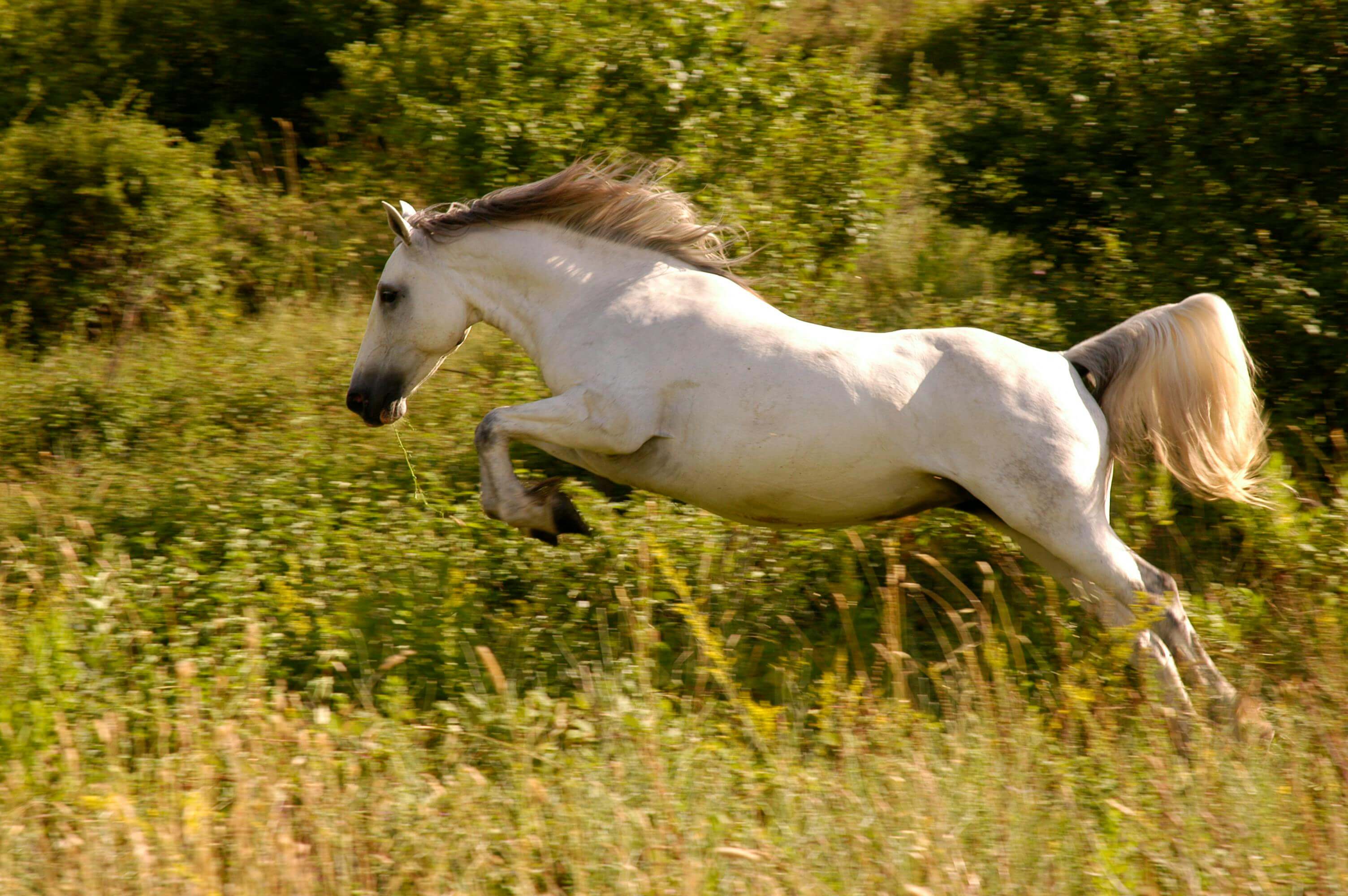 Anstrengung und Magendruck