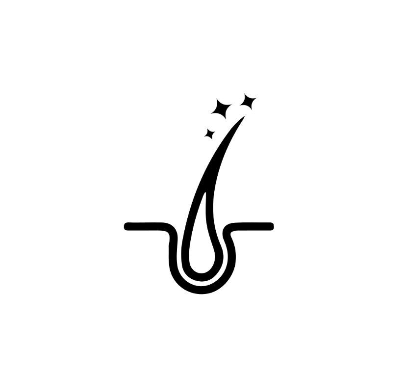          Feux d'artifices    Mal-&ecirc;tre     cheval       