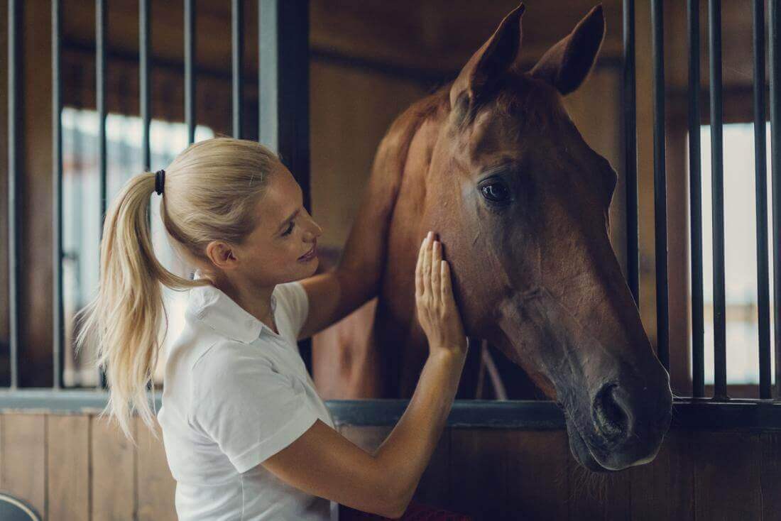 Feux d'artifices cheval