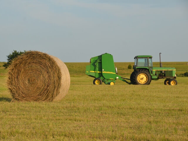 Pressage du foin cheval