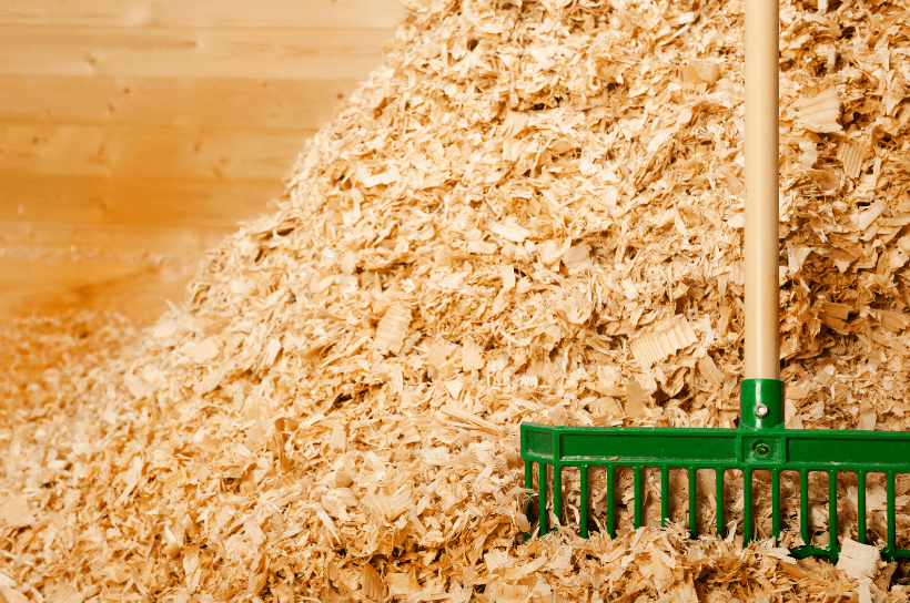 humidit&eacute; cheval