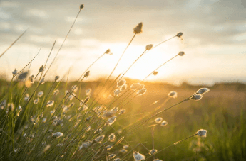 rafraichir cheval &eacute;t&eacute;