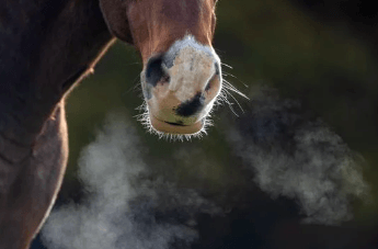 Comment reconna&icirc;tre une dermite estivale ?