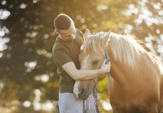 surveillance insecte cheval