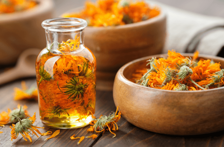 huile vegetale calendula mue cheval