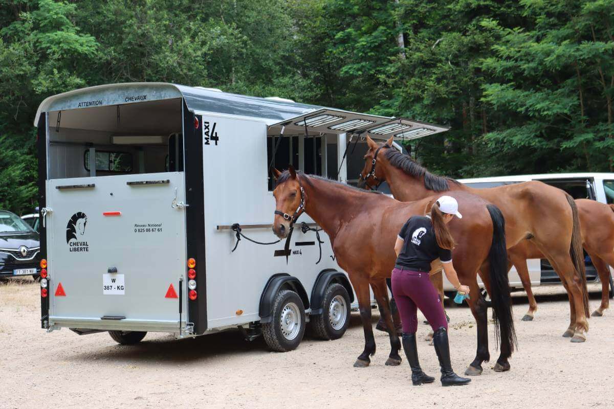 Transport cheval