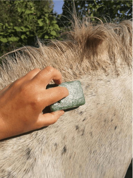 Soins dermite cheval savon