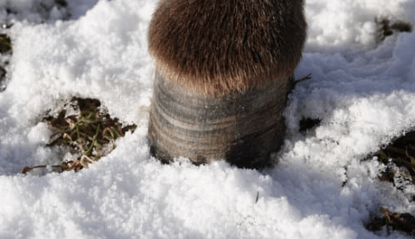 inspection r&eacute;guli&egrave;re &acirc;ne