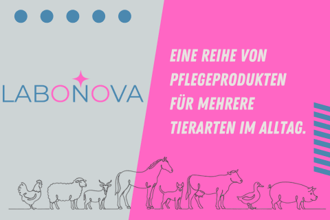 labonova