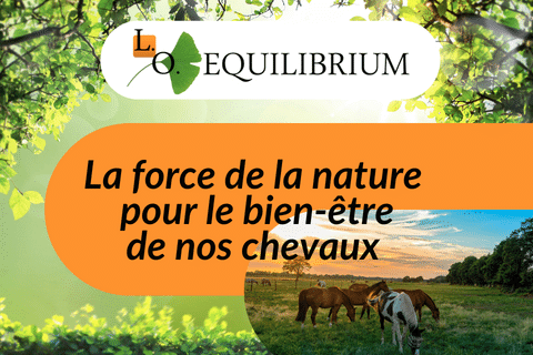 slogan LO EQUILIBRIUM