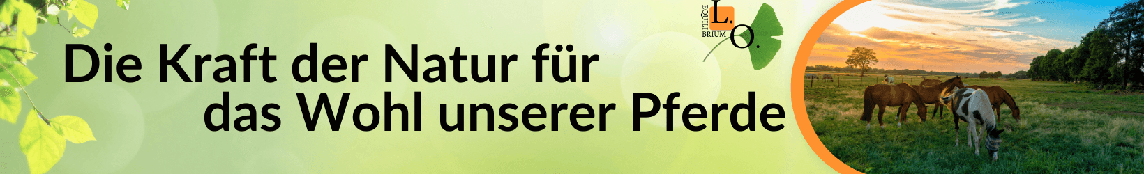 slogan