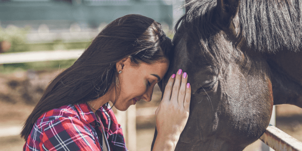 conseils choisir produits soins cheval