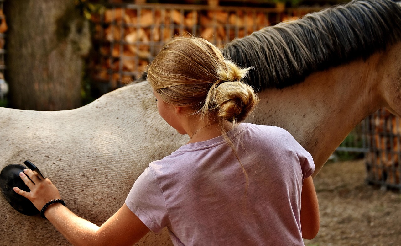 Brossage  cheval