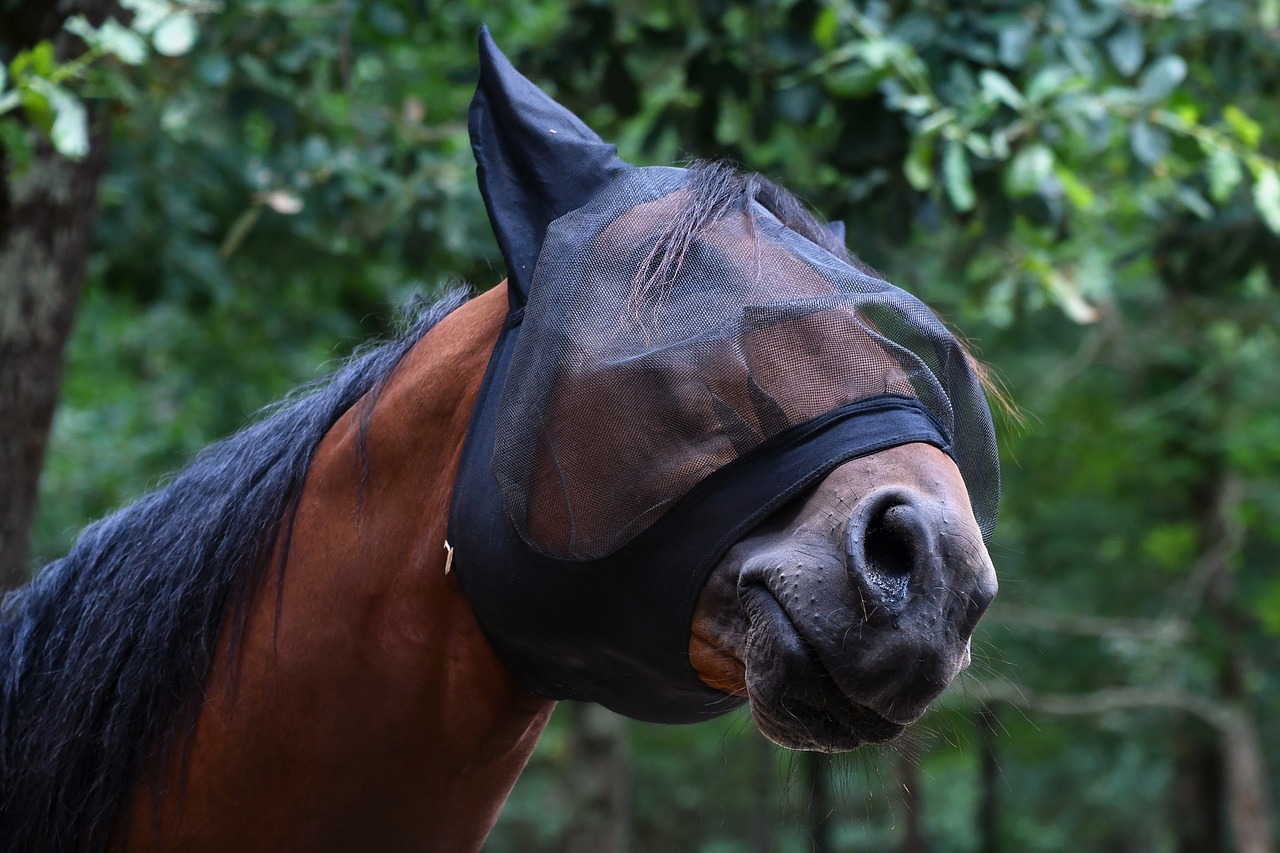  filets anti-mouches cheval