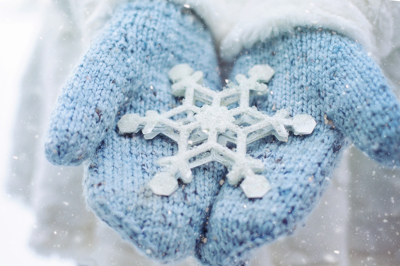 temps froid cheval 